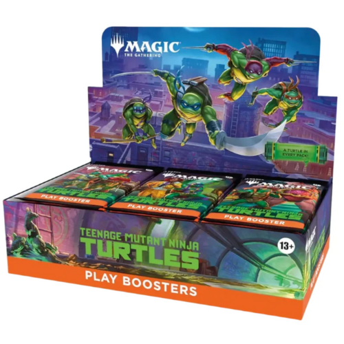 Teenage Mutant Ninja Turtles Play Display